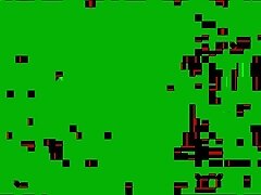 Bildnis der leidenschaft